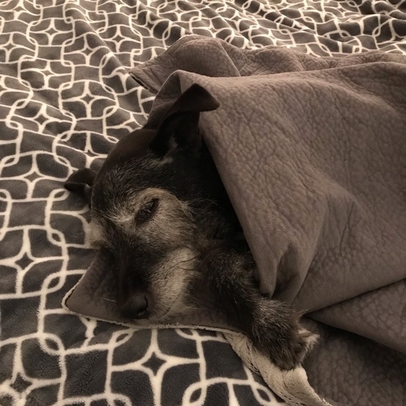 Meet your Posher, Susannah - Picture 1 of 1